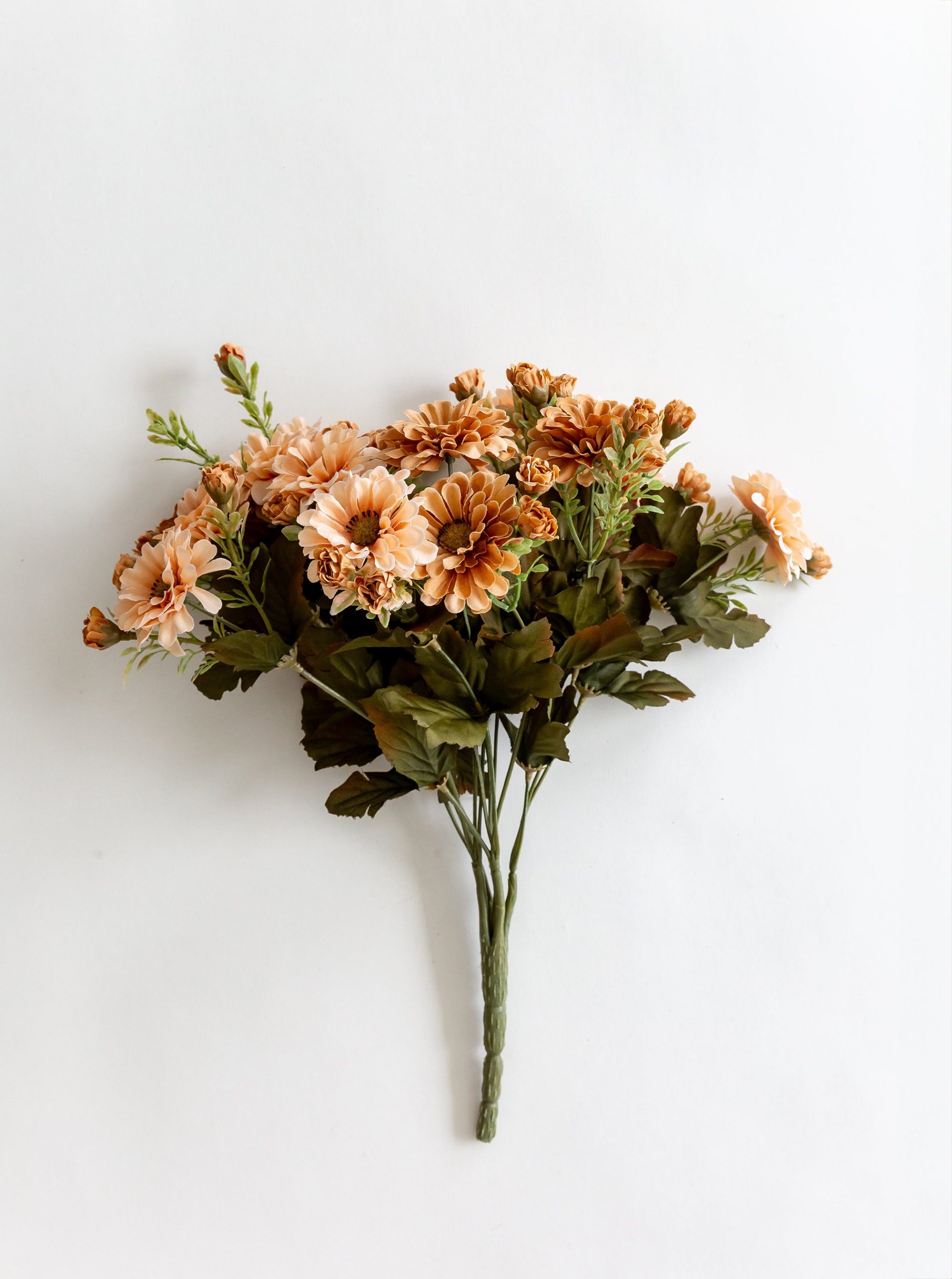 LindsaySalazar-161