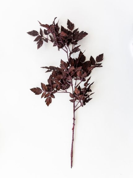 Faux Plum Ramosa Stem