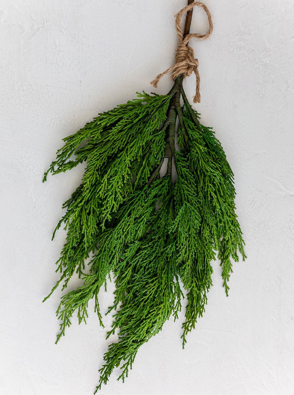 faux-white-cedar-sprig-527090